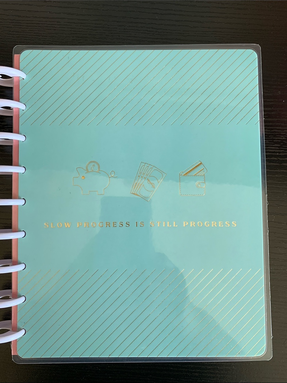 Happy Planner Mint Green Budget Notebook with White Icons